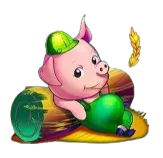 Piggy3